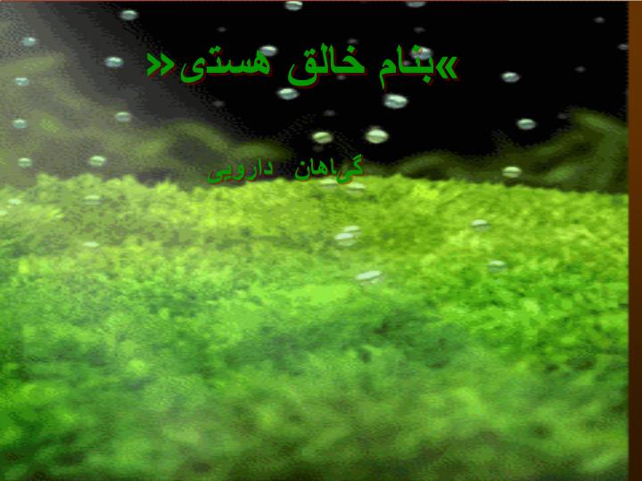 پاورپوینت ماریتیغال   ( خار مریم )