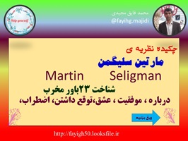 پاورپوینت چکیده نظریه ی مارتین سلیگمن 23 باور مخرب  Seligman